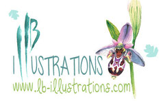 lb illustrations - Jimdo expert Toulouse
