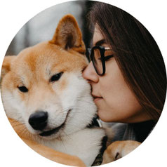 Wenn Tiere aus dem Leben gehen