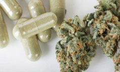 suppositoires a base de cannabis