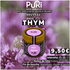 Pot de Miel de Thym Nouvelle-Zélande 240g Puri New Zealand sous fond de fleur de thym de Nouvelle-Zélande, description de l'intensité, notes de tête et fin de bouche, prix 