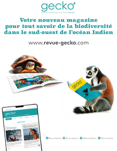 Revue Gecko