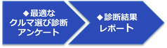 診断結果レポートまでの総額です。