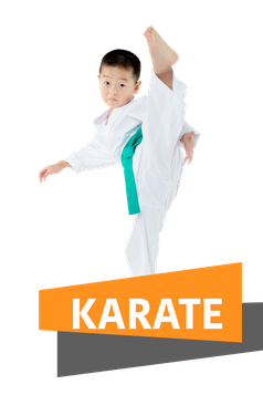 Das TOWASAN Programm für Erwachsene Karate und Kickboxen