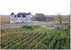 Chateau du Clos Vougeot