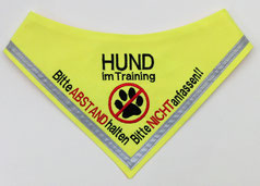 Hund im Training, Angsthund, Halstuch