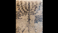 Fray Juan Ricci, sketch of the menorah as described in Exodus