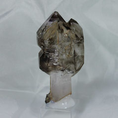 Scepter Smoky Quartz Goboboseb Mts. Namibia Africa