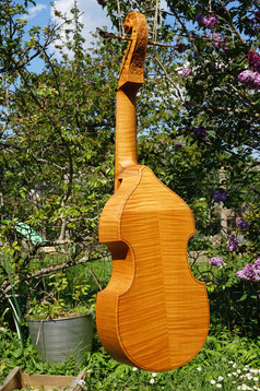 Julia Senjean-Rigaud - Rupt-sur-Saône - luthière violes de gambe