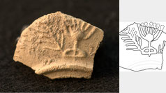 Fragment, Öl-Lampe, Menora, siebenarmige Leuchter, Shikhin Galiläa