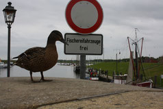 29 Ente+Schild/Duck+sign