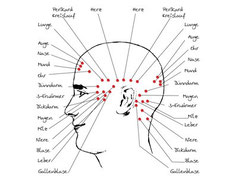 Access Bars, Practitioner, Anwender