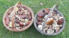Ostpreussen Masuren kulinarisch
