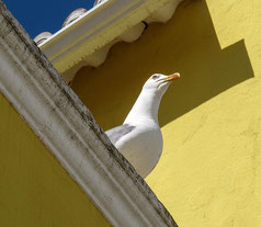 Reisefotografie Algarve / Lagos: Mit minimalen symbolischen Mitteln Reise- und Urlaubs-Feeling wecken, Canon G11, Foto: Dalyani Schoerner
