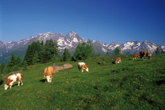 Nationalpark Hohe Tauern, © Zupanc, KW