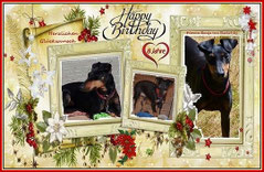 Bild anklicken um zu vergrößern 