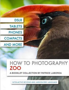 How to Photography Zoo
