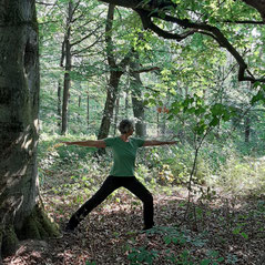 Eine Frau übt die Heldenhaltung unter einer mächtigen Buche im Wald..