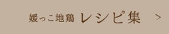 媛っこ地鶏レシピ集