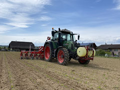 pflegen hacken striegeln Pflanzenschutz Einböck Fendt