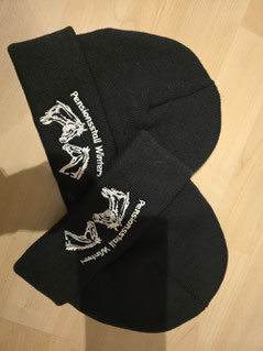 Wintermützen 30.-
