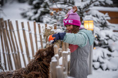 Salzburger Bergadvent