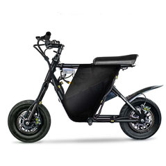 Voro Motors EMove RoadRunner Electric Scooter
