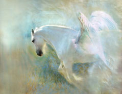 Ein weißes, geflügeltes Pferd, auch Pegasus genannt, das für grenzenlose Freiheit, Spiritualität, Intuition, Feinfühligkeit und Achtsamkeit und die Verbindung zwischen dem Irdischen und der geistigen Welt steht - mein schützling