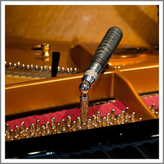 Stimmservice, Stimmen