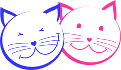 Joshi & Sofia - The Blind Cats
