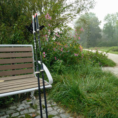 ein Paar Nordic Walking Stöcke lehnt an eine Bank. Im Hintergrund sind Herbstpflanzen und ein Weg zu sehen, der in einen Park führt.