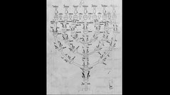 14th century Representation of a seven-armed chandelier menorah with symbolic explanation