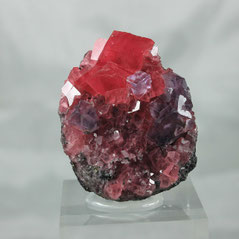 Rhodochrosite with Fluorite Sweet Home Mine Colorado USA