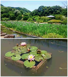 皿山公園（長崎県佐々町）