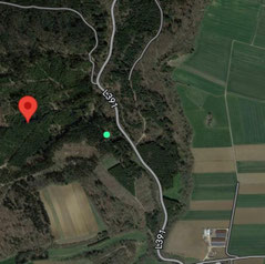 Satellitenaufnahme zeigt Waldgebiet mit angrenzenden Feldern und zwei Straßen, davon eine mit der Bezeichnung 'L391'.