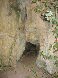la grotta della volpe