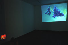instalation view of ' a lie before breakfast' and 'silent movie' in popotme