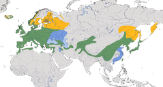 Karte zur Verbreitung des Zaunkönigs (Troglodytes troglodytes)