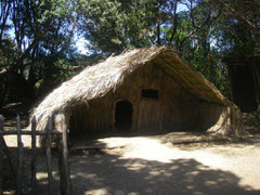 im Rewa's Village