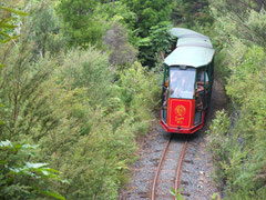 mit der "Bimmelbahn" durch den Busch
