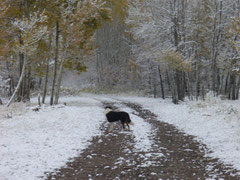 Winter's contrast