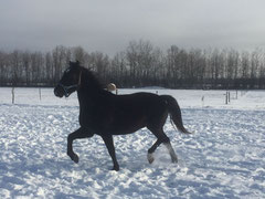 Flynn, with his owner, Caslyn