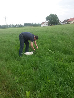Der männliche Futtersklave beim Bemühen, die Wessis satt zu bekommen^^