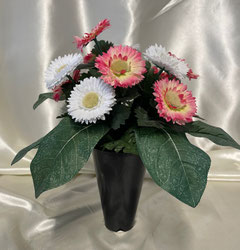 Cône Paquerettes  3- 29 €