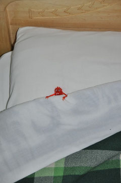 A l'hôtel, Arri aussi a son petit lit, il dort avec nous, mais pour lui c'est gratuit!