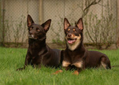 March und Ruby
