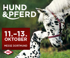 Unsere Messetermine Knauders Best