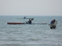 Hortillonages Amiens Location canoe kayak Avranches ocean racing