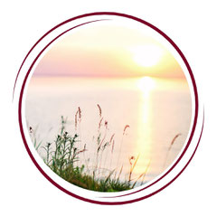 Logo Onlinekurse für Hochsensible, Inga Dalhoff, zart-stark.de