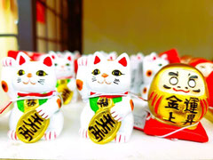 招き猫（イメージ写真）