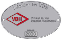 Verband für das Deutsche Hundewesen